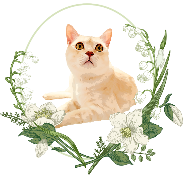 花のリースと猫のイラスト2